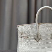 Hermès Beton Birkin 25 Matte Alligator Gold Hardware