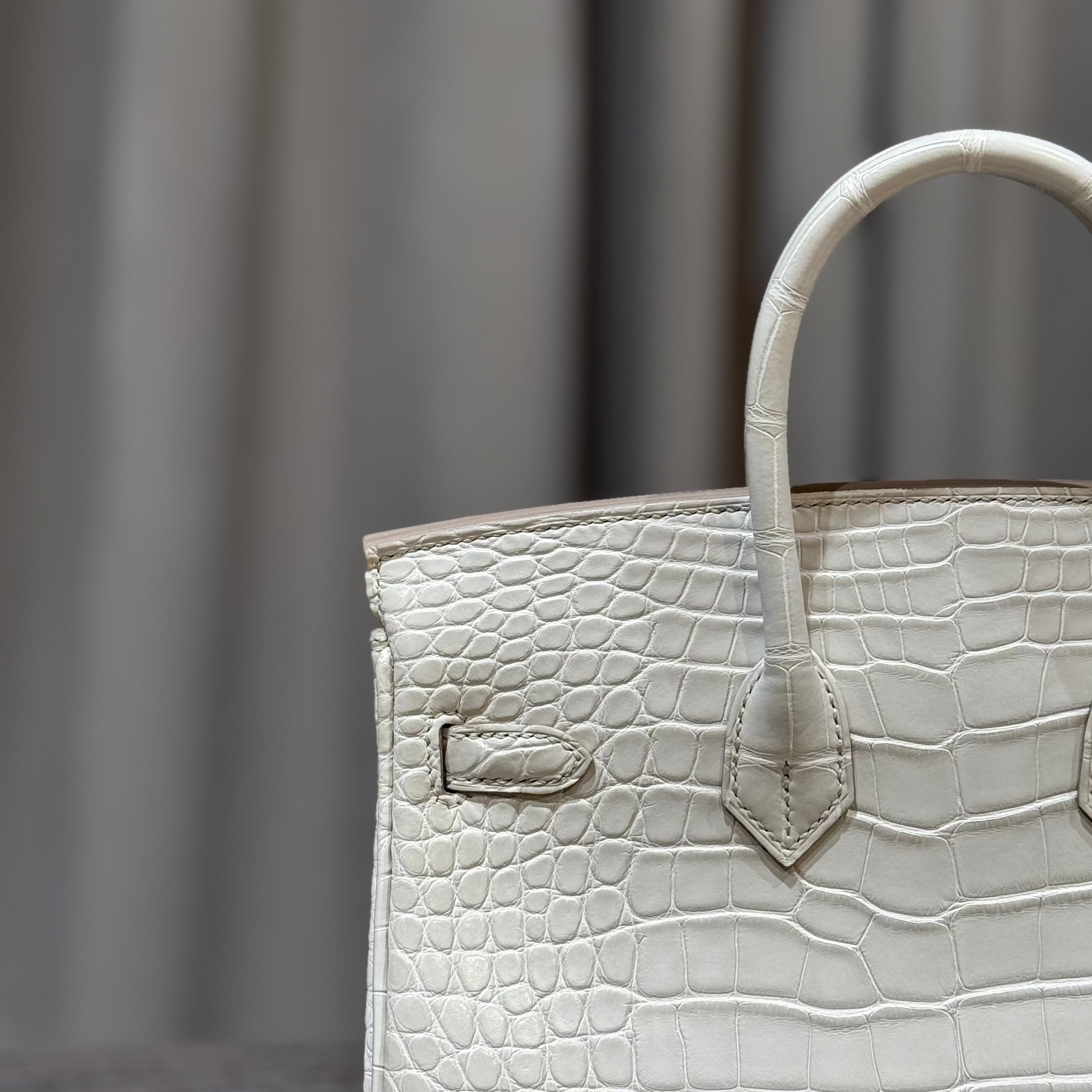 Hermès Beton Birkin 25 Matte Alligator Gold Hardware