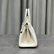 Hermès Beton Birkin 25 Matte Alligator Gold Hardware