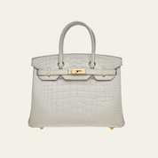 Hermès Beton Birkin 25 Matte Alligator Gold Hardware