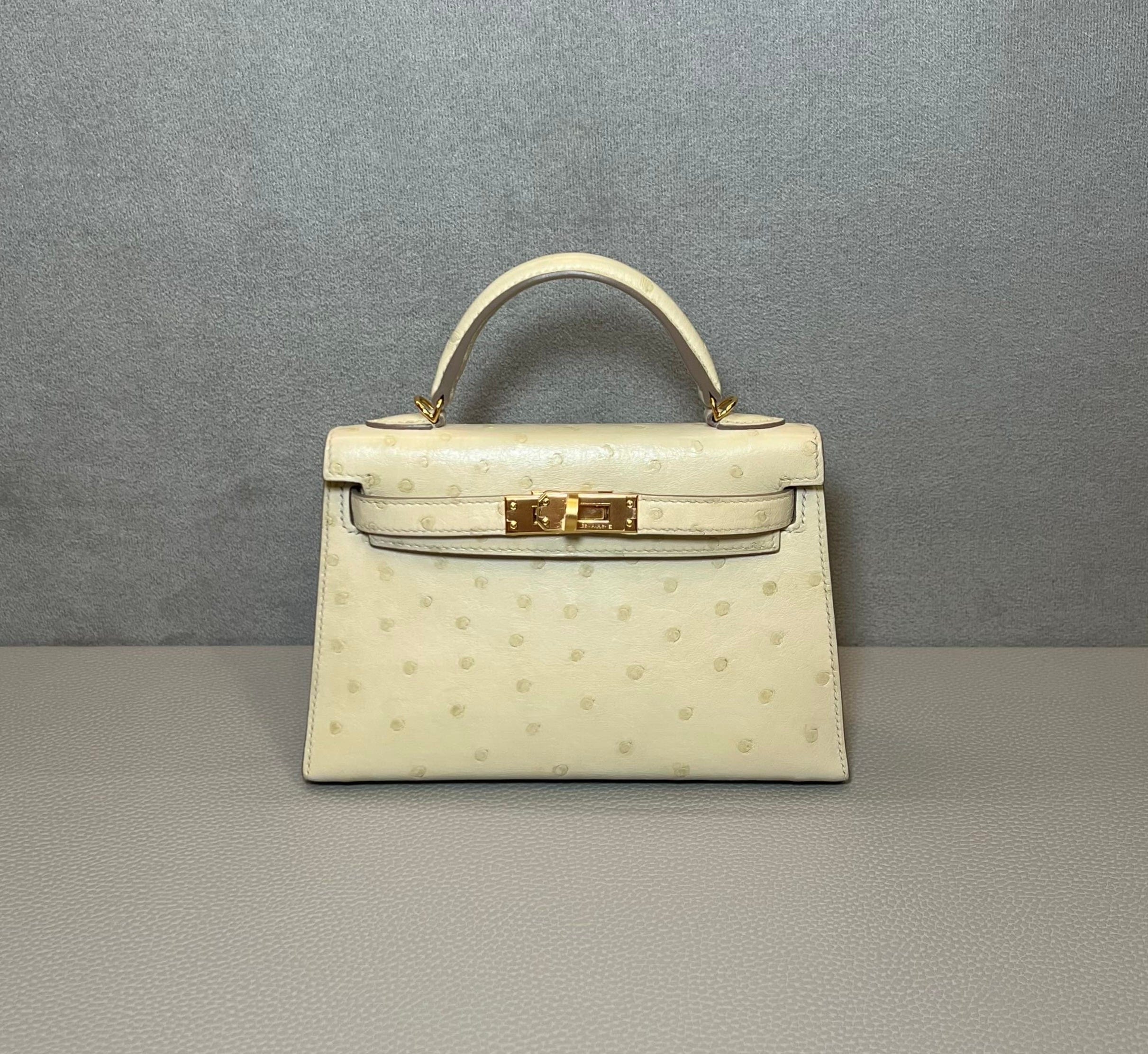 hermes-beton-craie-mini-kelly-sellier-20-ostrich-gold-hardware-hermes-1199258000.jpg