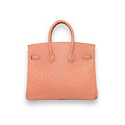 Hermès Terre Cuite Birkin 25 Ostrich Palladium Hardware