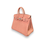 Hermès Terre Cuite Birkin 25 Ostrich Palladium Hardware