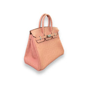 Hermès Terre Cuite Birkin 25 Ostrich Palladium Hardware