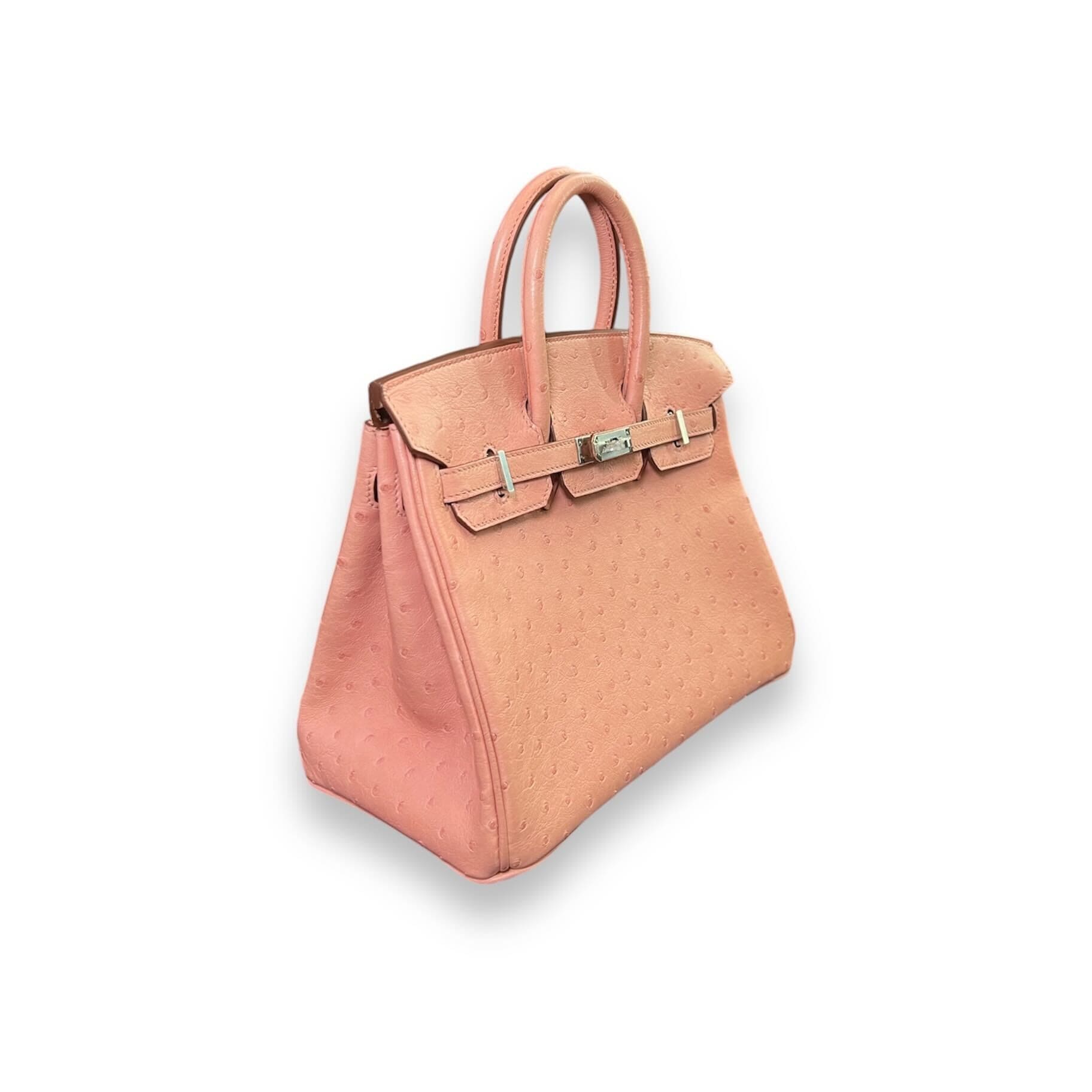 Hermès Terre Cuite Birkin 25 Ostrich Palladium Hardware