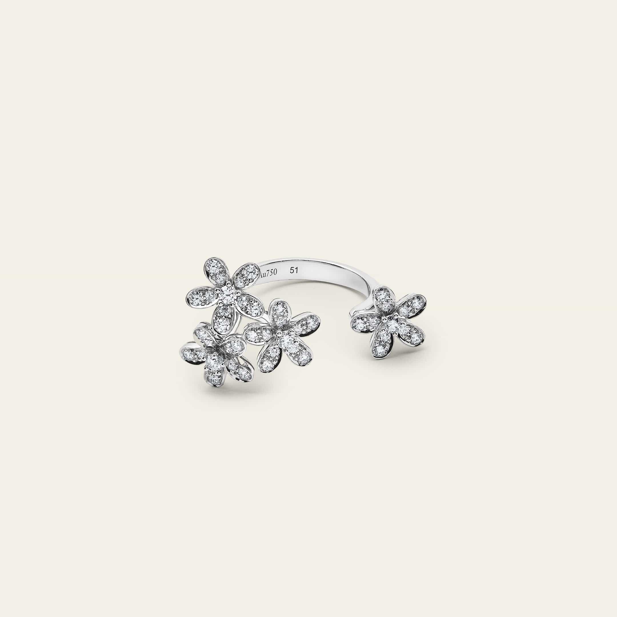 Van Cleef & Arpels Socrate Between the Finger Ring – Jewels Aficionado