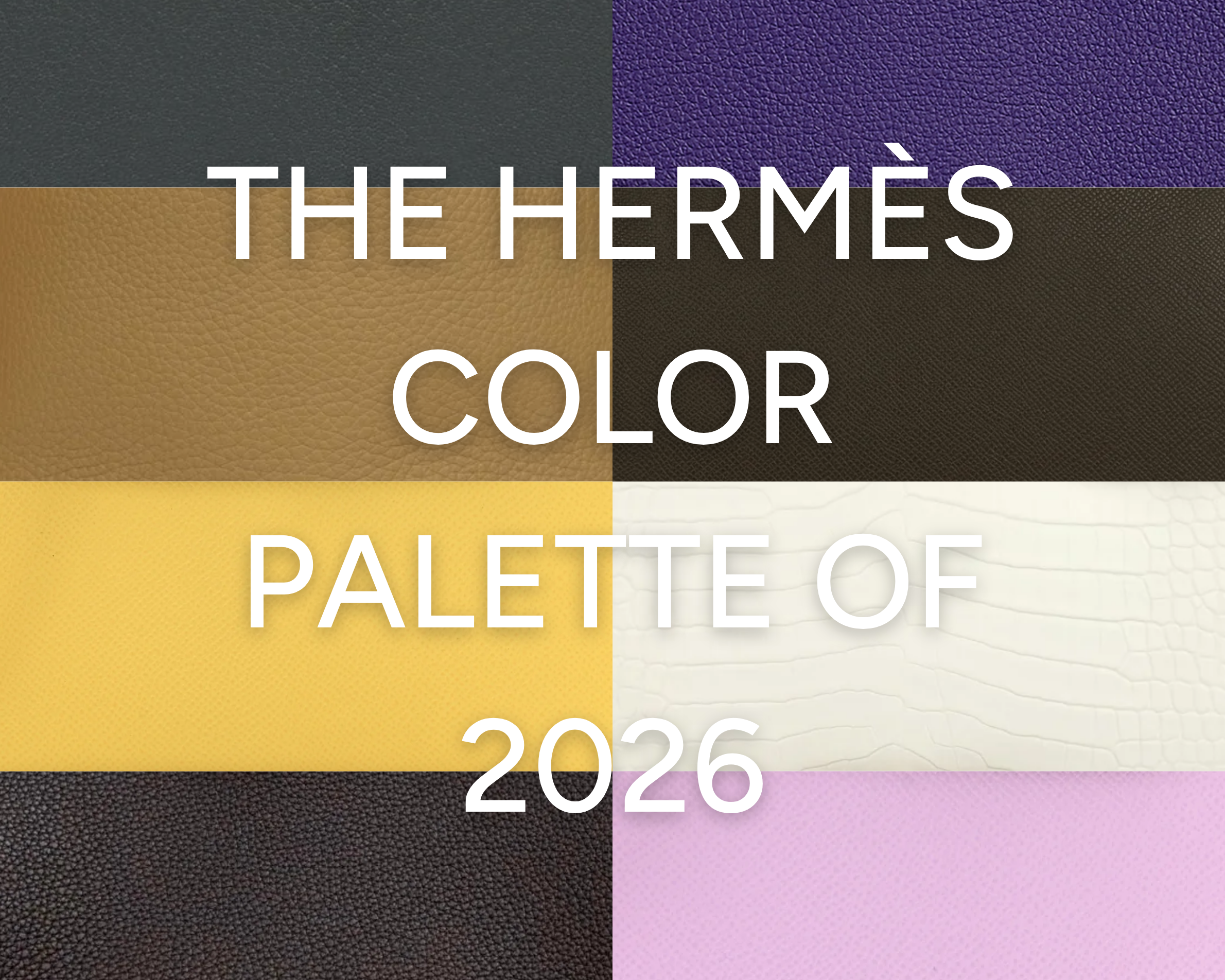 The Aficionada's Guide: Hermès Colors 2026