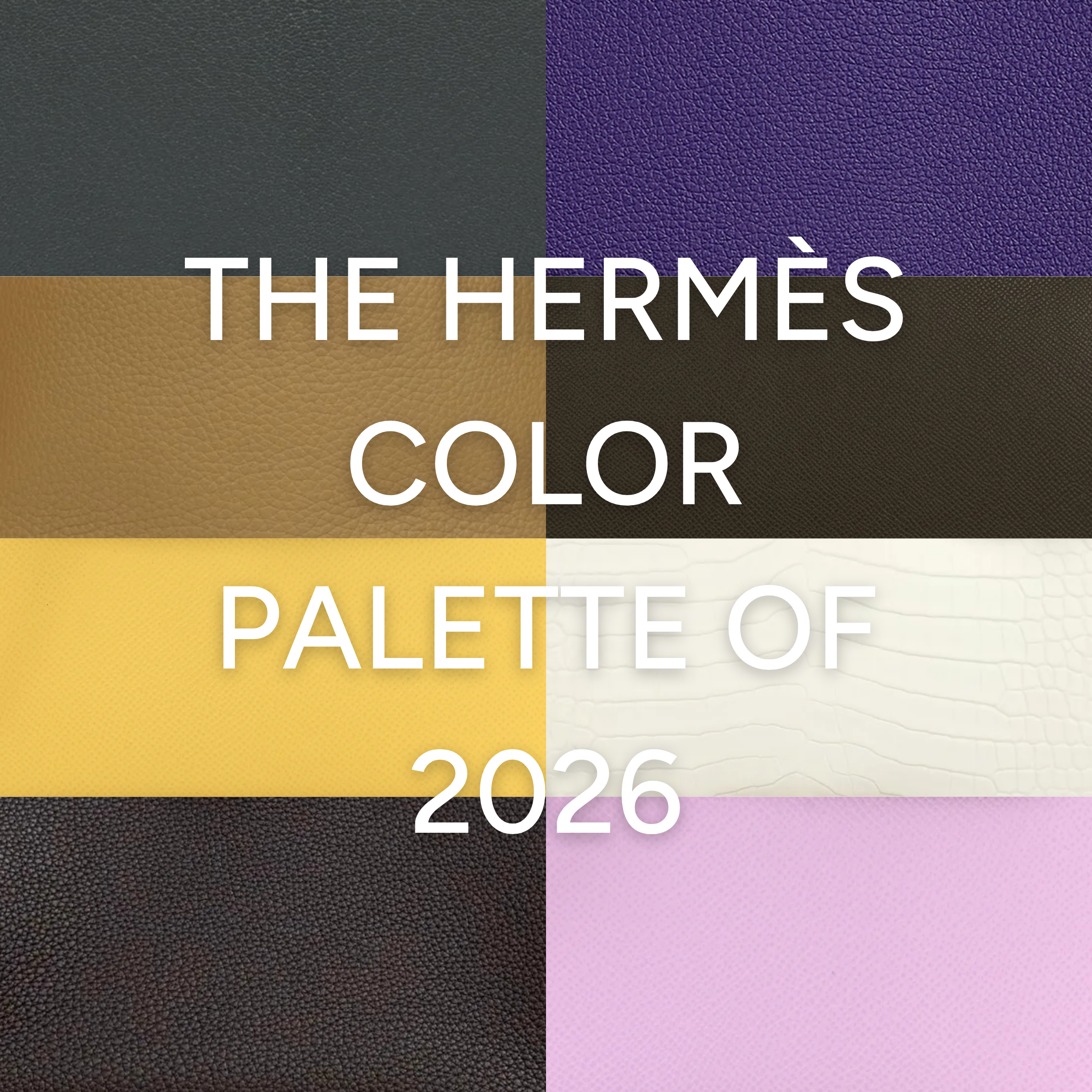 The Aficionada's Guide: Hermès Colors 2026