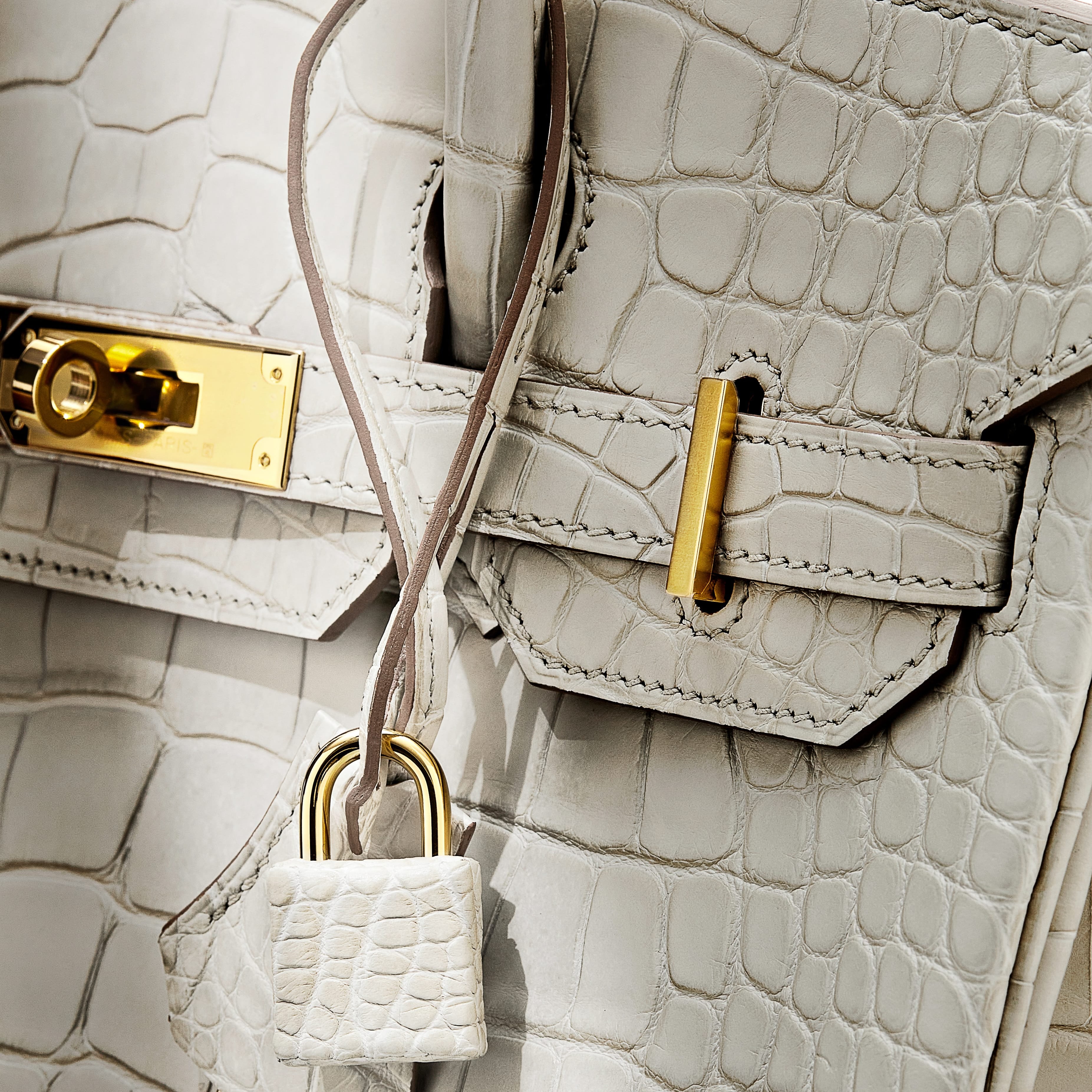Hermes_Alligator_insta_detail_5bbe7b1a-e873-4904-b7c1-fd7a31dbfc11.jpg