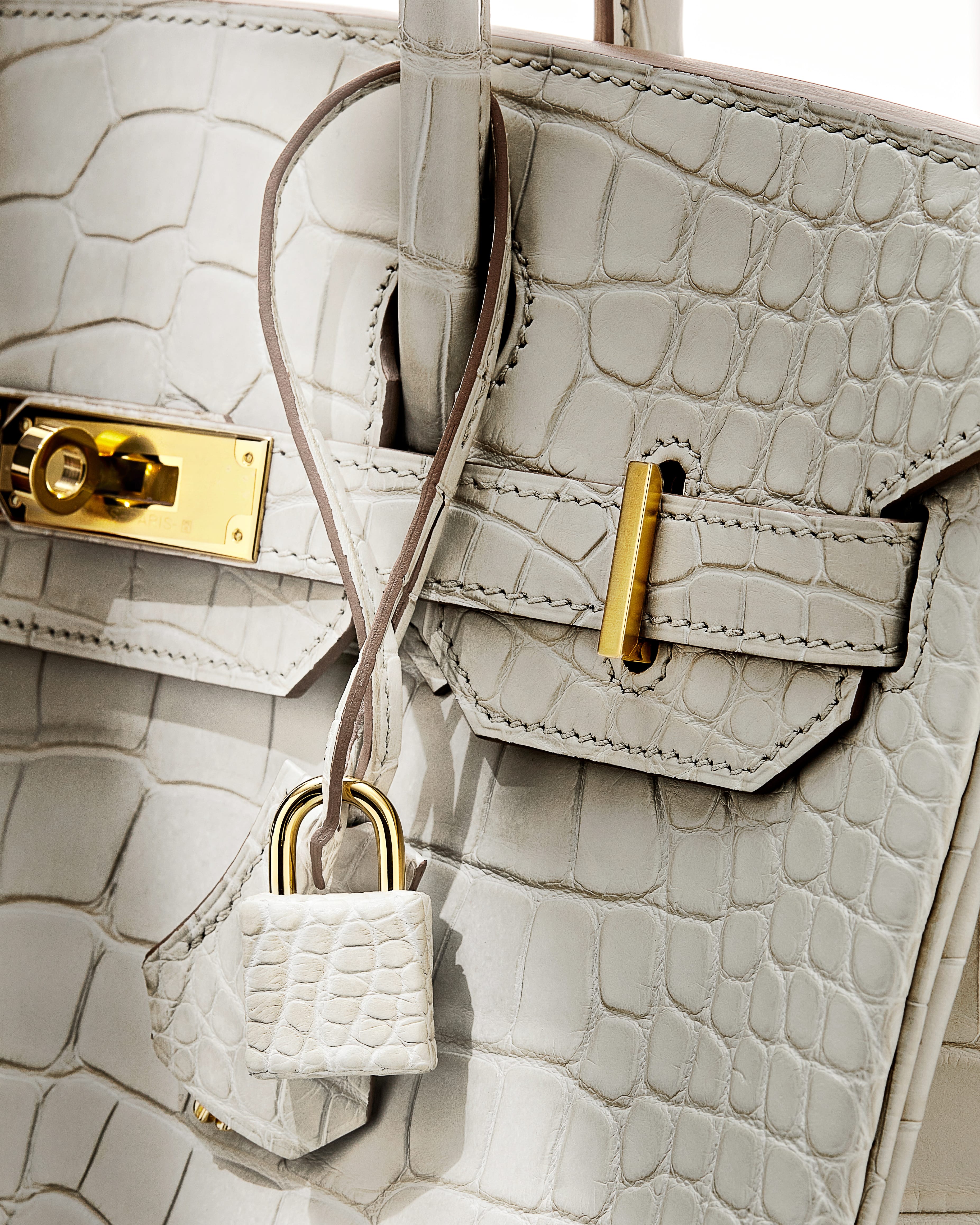Hermes_Alligator_insta_detail_e40628bb-eb69-4ccd-90b6-5c3446093201.jpg
