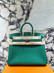 Hermès Birkin 25 Togo Vert Vertigo Palladium Hardware