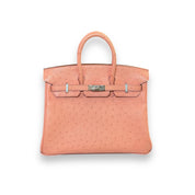 Hermès Birkin 25 Ostrich Terre Cuite Palladium Hardware