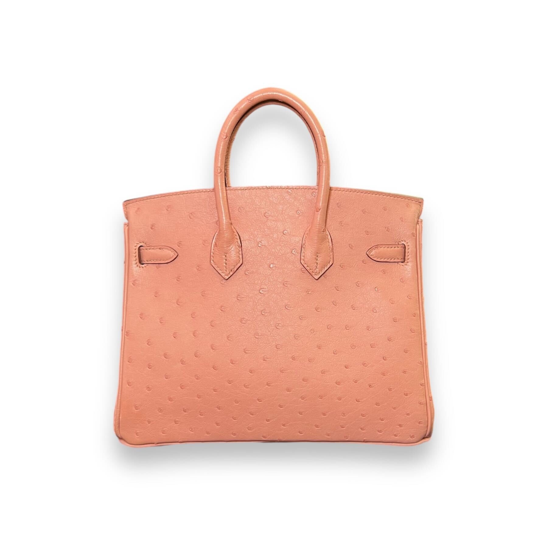 Hermès Birkin 25 Ostrich Terre Cuite Palladium Hardware