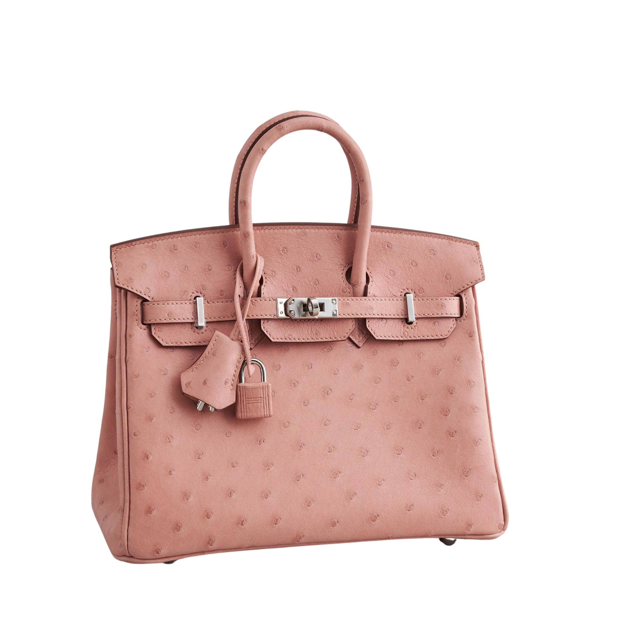 Hermès Birkin 25 Ostrich Terre Cuite Palladium Hardware