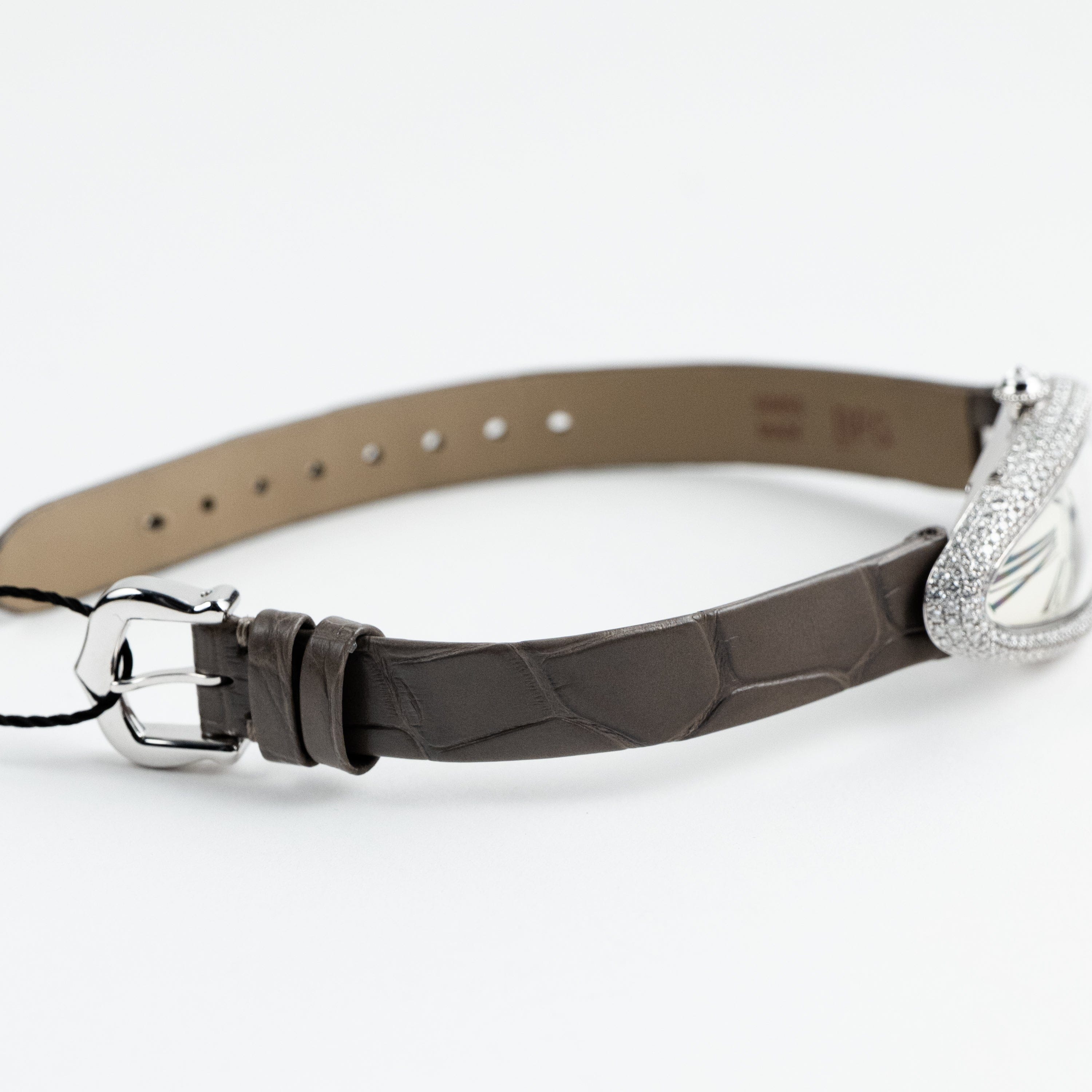 Cartier Baignoire Allongée WJBA0007 White Gold Silver Dial Diamond Bezel (2026)