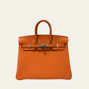 Hermès 93 Orange Birkin 25 Togo Palladium Hardware