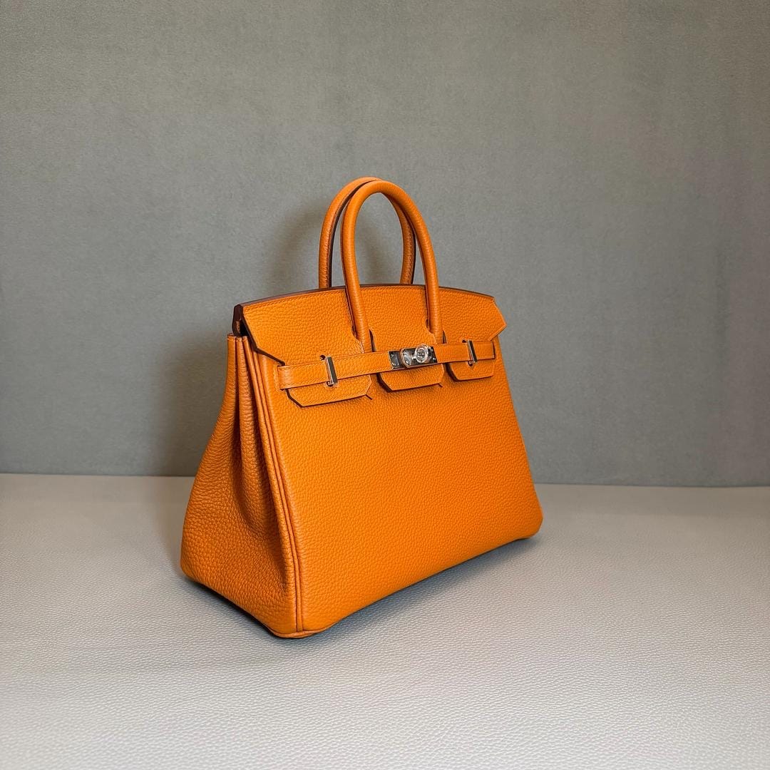 Hermès 93 Orange Birkin 25 Togo Palladium Hardware