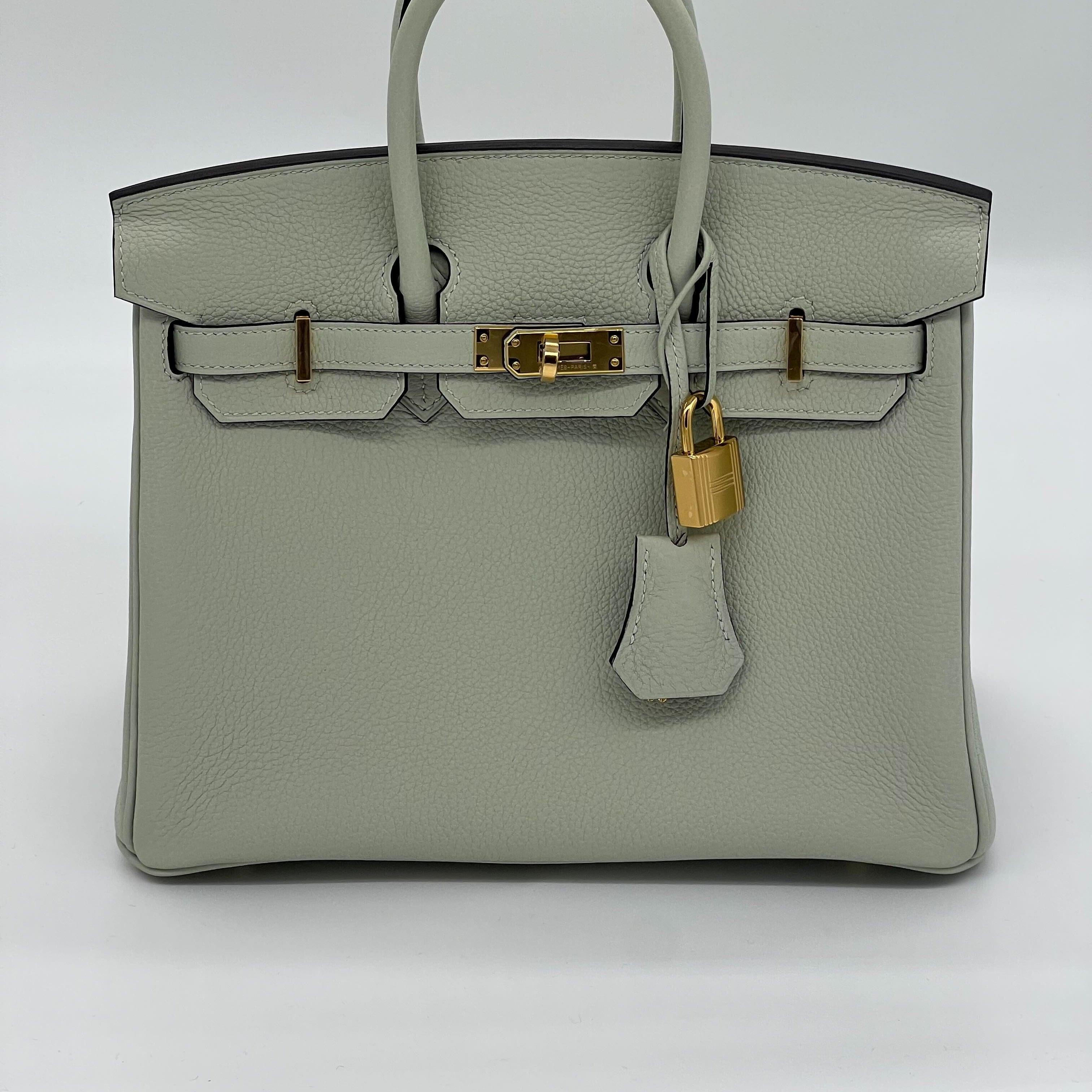 Hermes Birkin 25 Gris Neve Togo Calfskin  Gold Hardware Wrist Aficionado