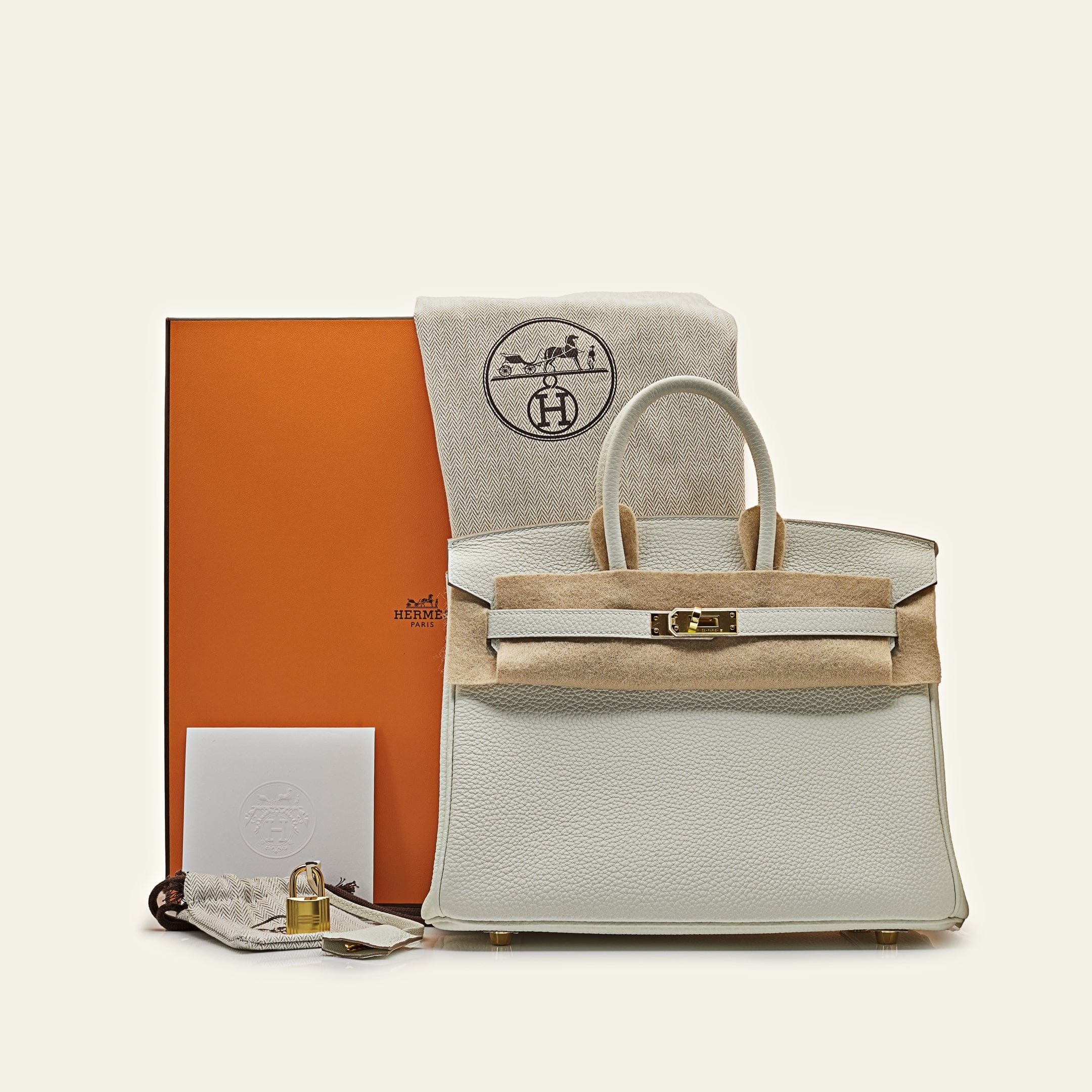 Hermès Mushroom Birkin 25 – Beige Hermès Birkin Bag in Veau Togo