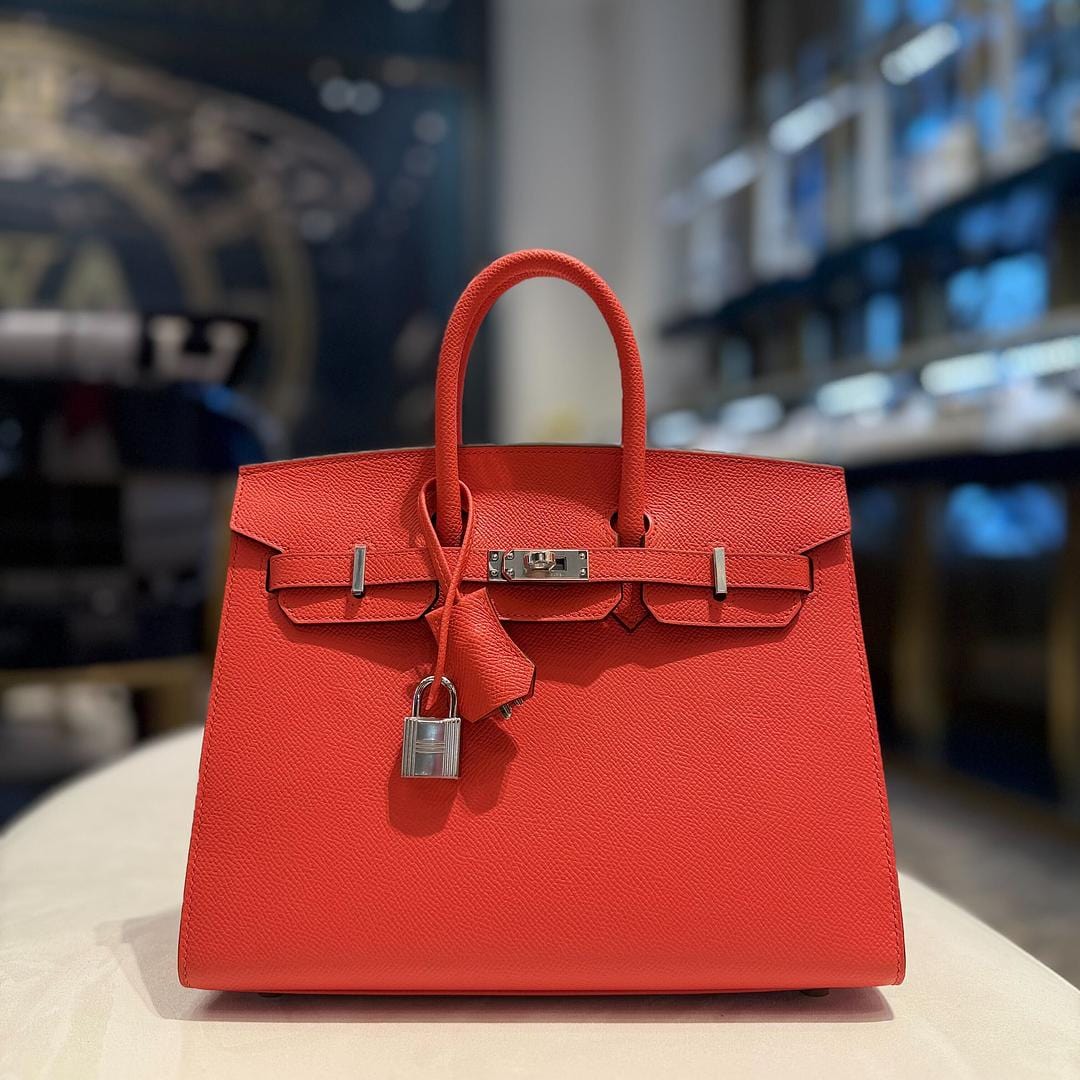 hermes-capucine-birkin-sellier-25-epsom-palladium-hardware-hermes-1183600022.jpg