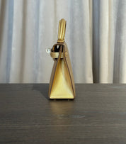 Hermès Dore Mini Kelly Sellier 20 Chevre Chamkilight Permabrass Hardware
