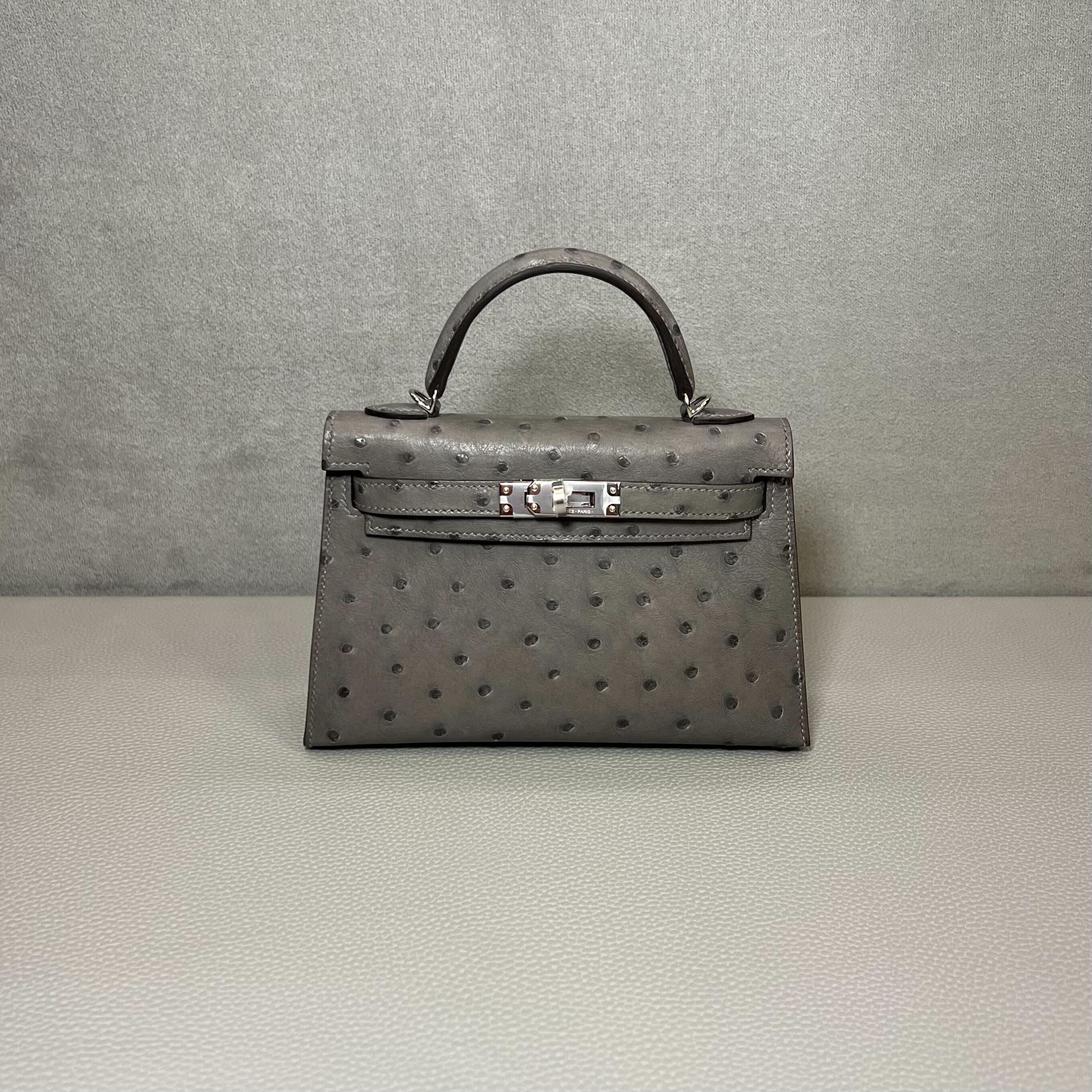 hermes-gris-meyer-mini-kelly-sellier-20-ostrich-palladium-hardware-hermes-1198576885.jpg
