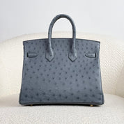 Hermès Gris Misty Birkin 25 Ostrich Gold Hardware