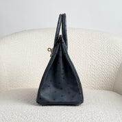 Hermès Gris Misty Birkin 25 Ostrich Gold Hardware
