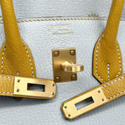 Hermès Gris Perle and Jaune Amber Birkin 25 Chèvre Mysore Brushed Gold Hardware HSS