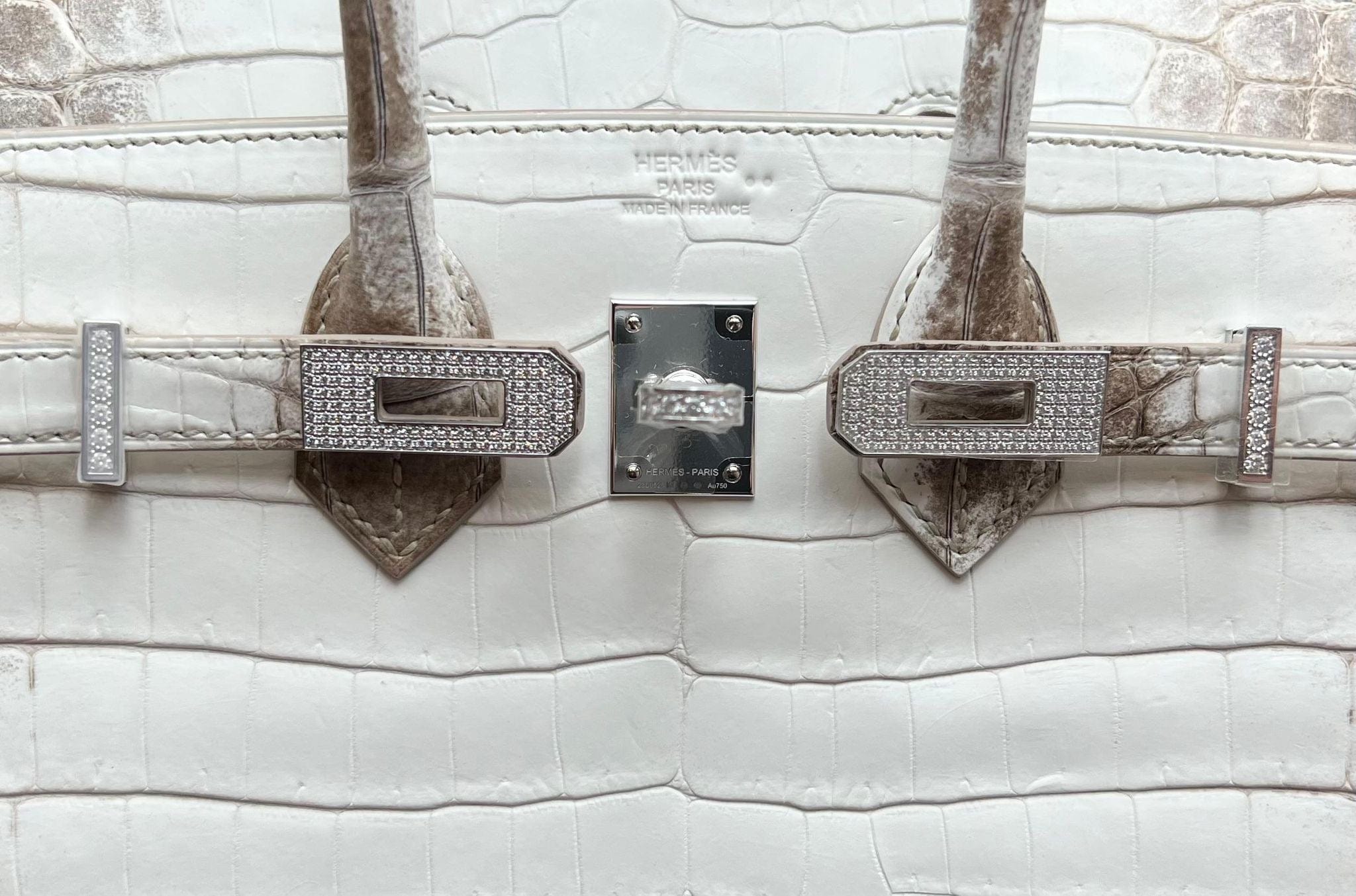Hermès Himalaya Birkin 25 Niloticus Crocodile Diamond Encrusted Palladium Hardware