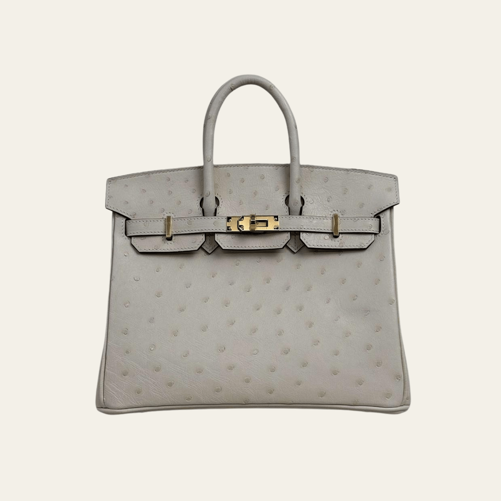 hermes-nata-birkin-25-ostrich-gold-hardware-hermes-1234403209.png