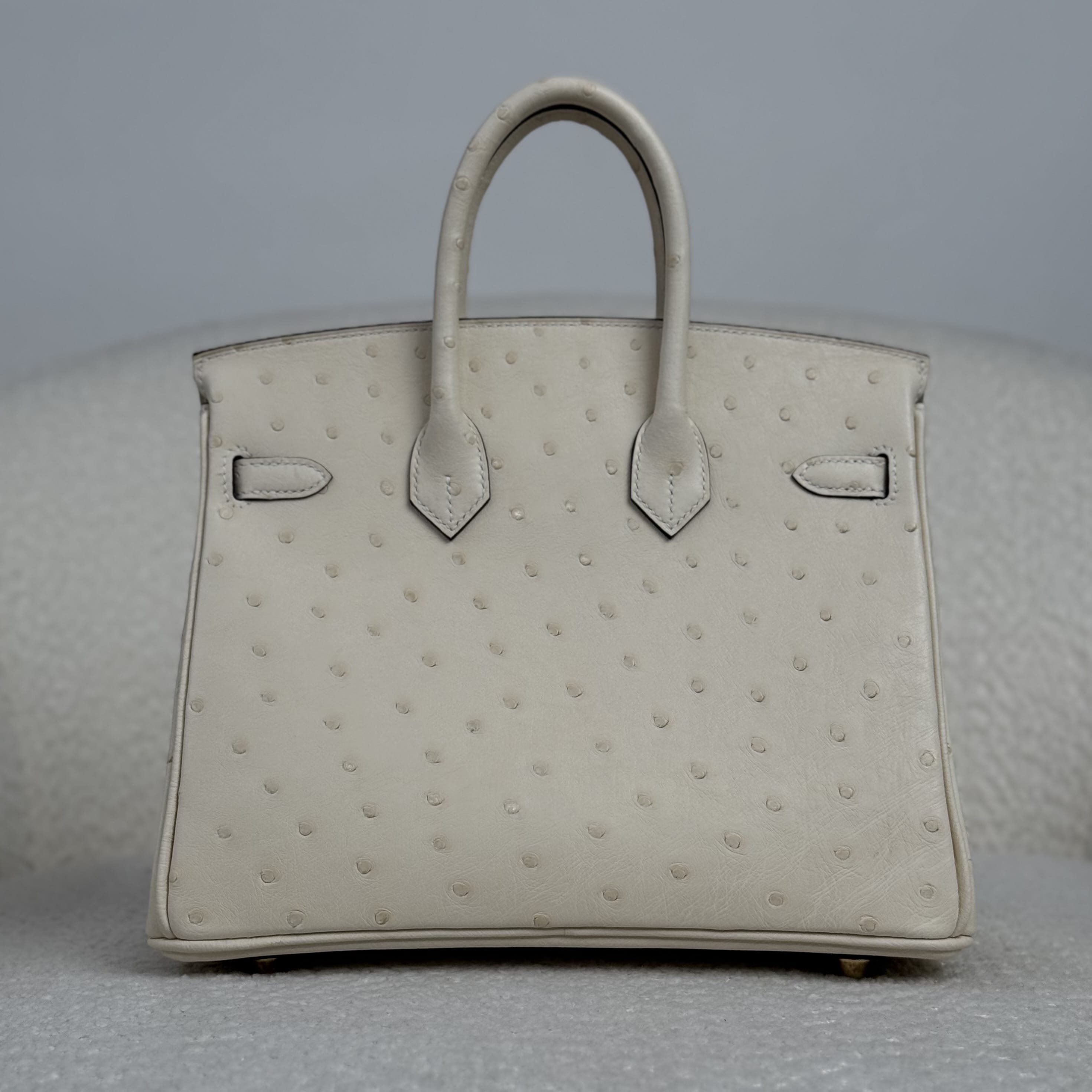 Hermès Nata Birkin 25 Ostrich Gold Hardware