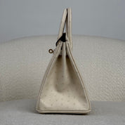 Hermès Nata Birkin 25 Ostrich Gold Hardware