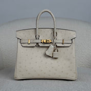 Hermès Nata Birkin 25 Ostrich Gold Hardware