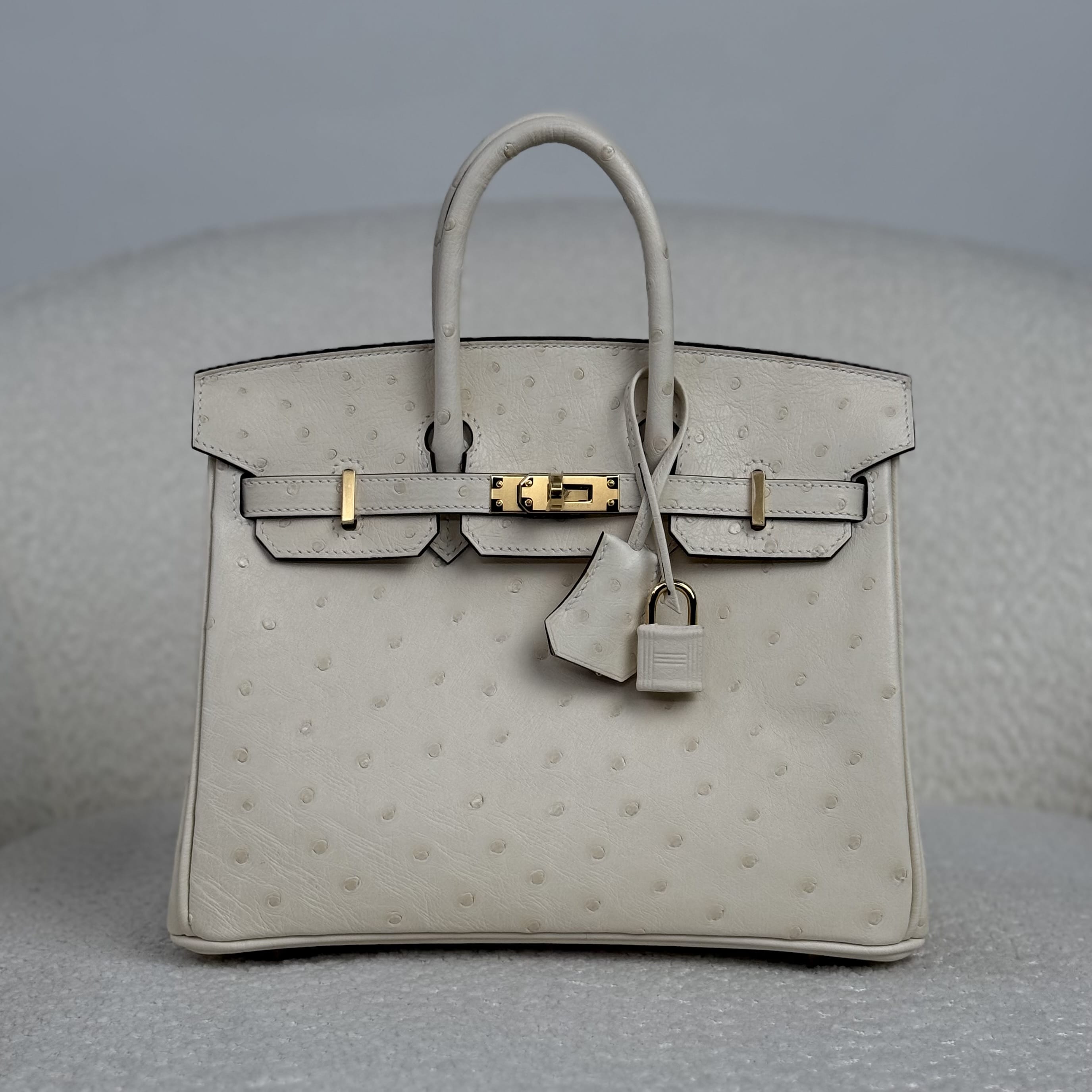 hermes-nata-birkin-25-ostrich-gold-hardware-hermes-1234732104.jpg