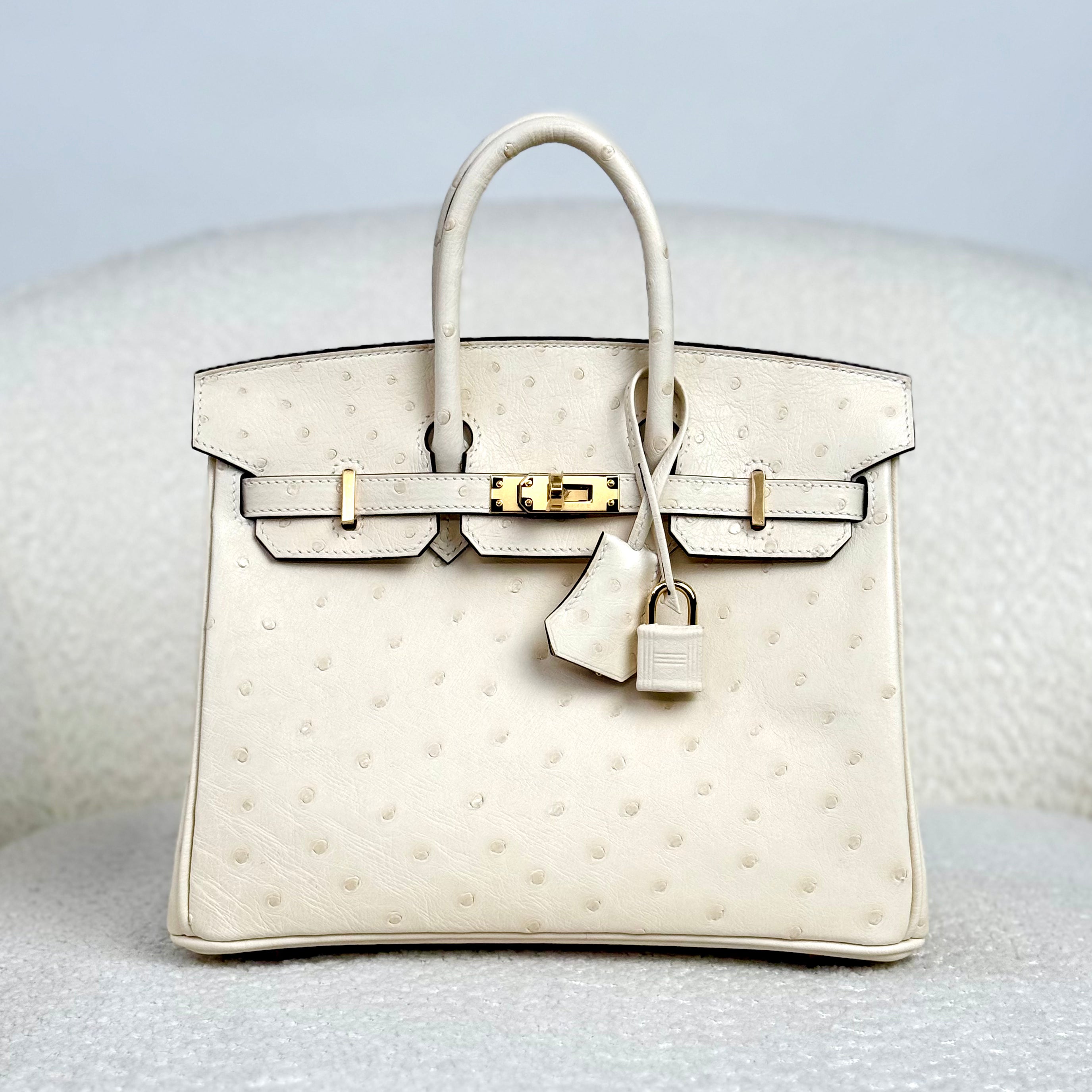 hermes-nata-birkin-25-ostrich-gold-hardware-hermes-1238422328.heic