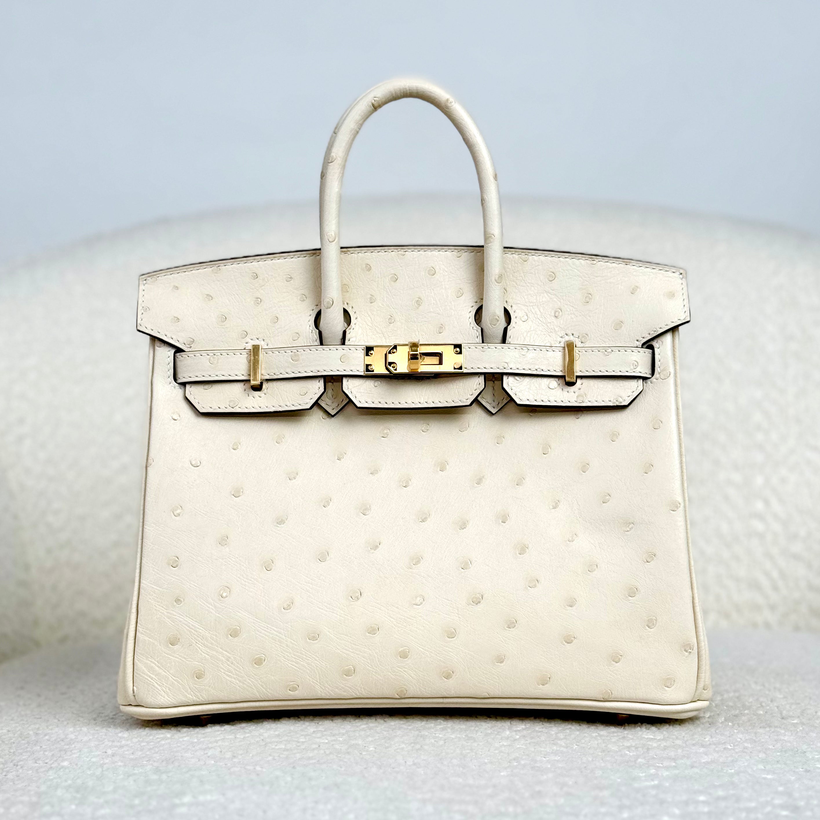 Hermès Nata Birkin 25 Ostrich Gold Hardware