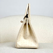 Hermès Nata Birkin 25 Ostrich Gold Hardware