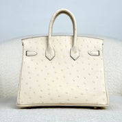 Hermès Nata Birkin 25 Ostrich Gold Hardware