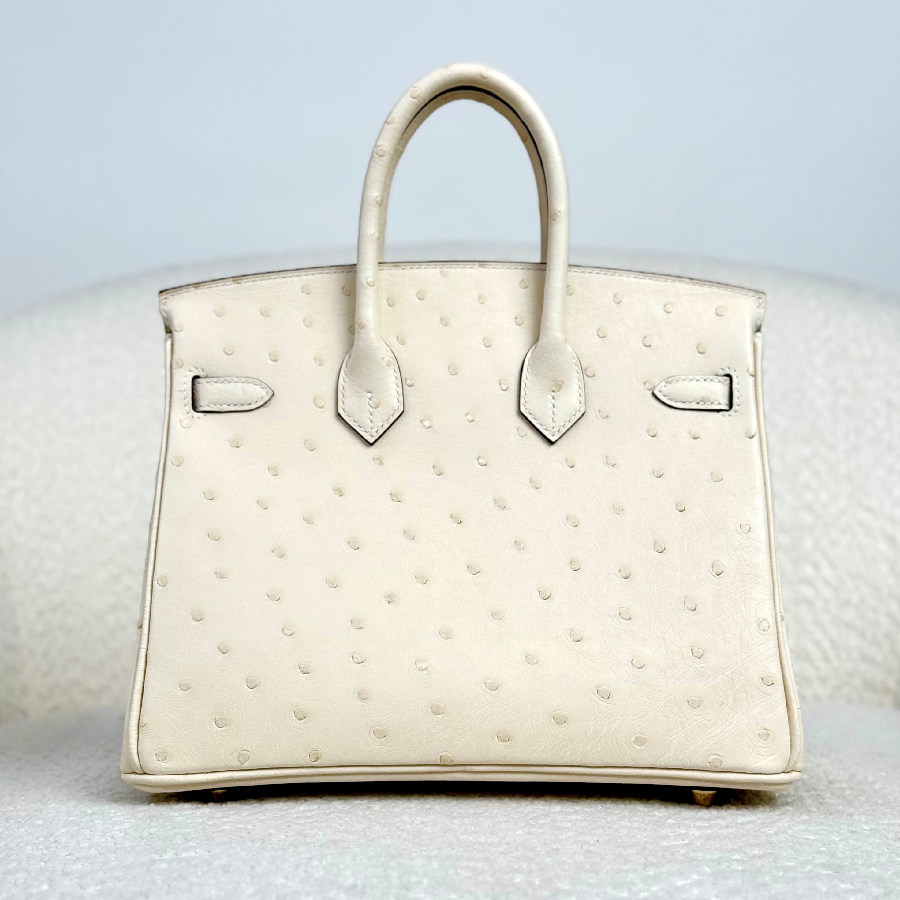 Hermès Nata Birkin 25 Ostrich Gold Hardware