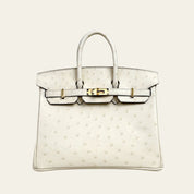 Hermès Nata Birkin 25 Ostrich Gold Hardware
