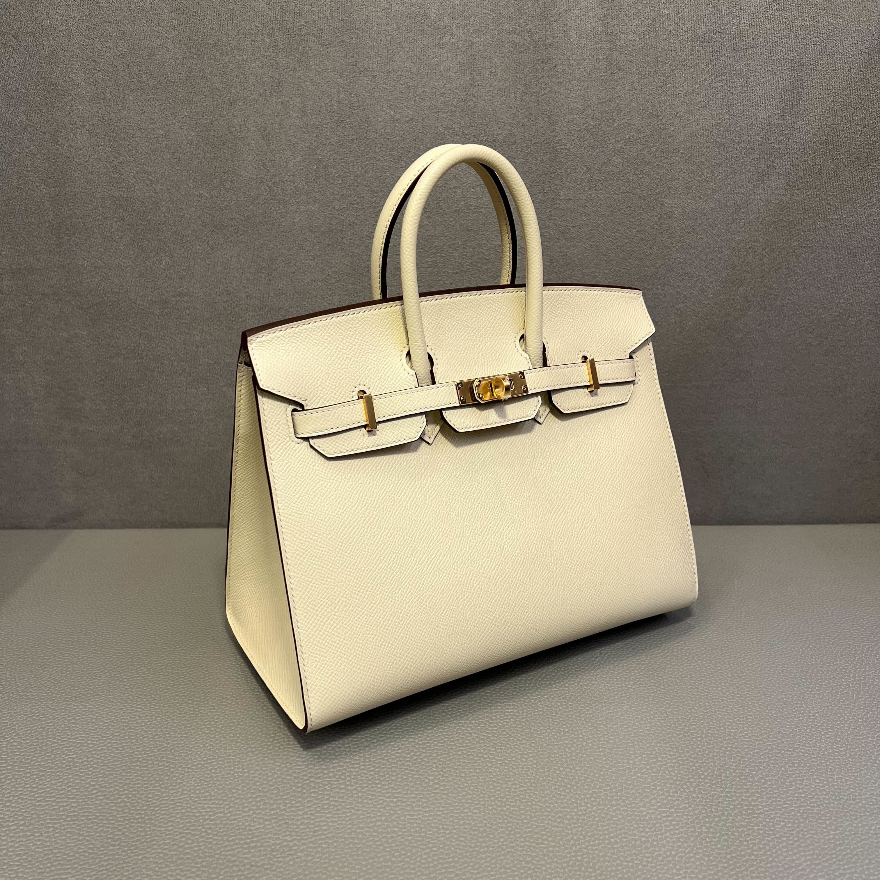 Hermès Nata Birkin Sellier 25 Epsom Gold Hardware