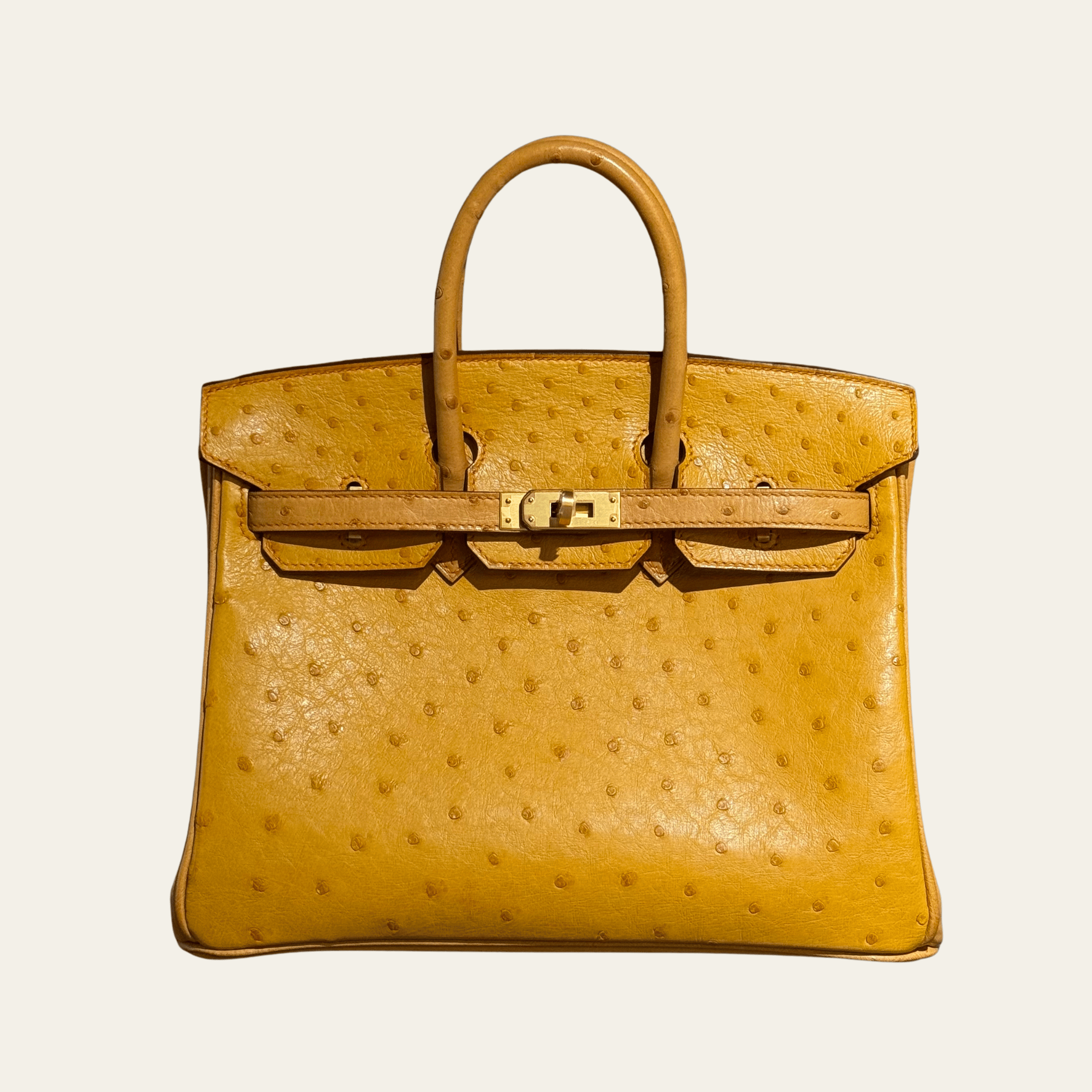 hermes-natural-sable-and-terre-cuite-birkin-25-ostrich-brushed-gold-hardware-hss-hermes-1204068670.png