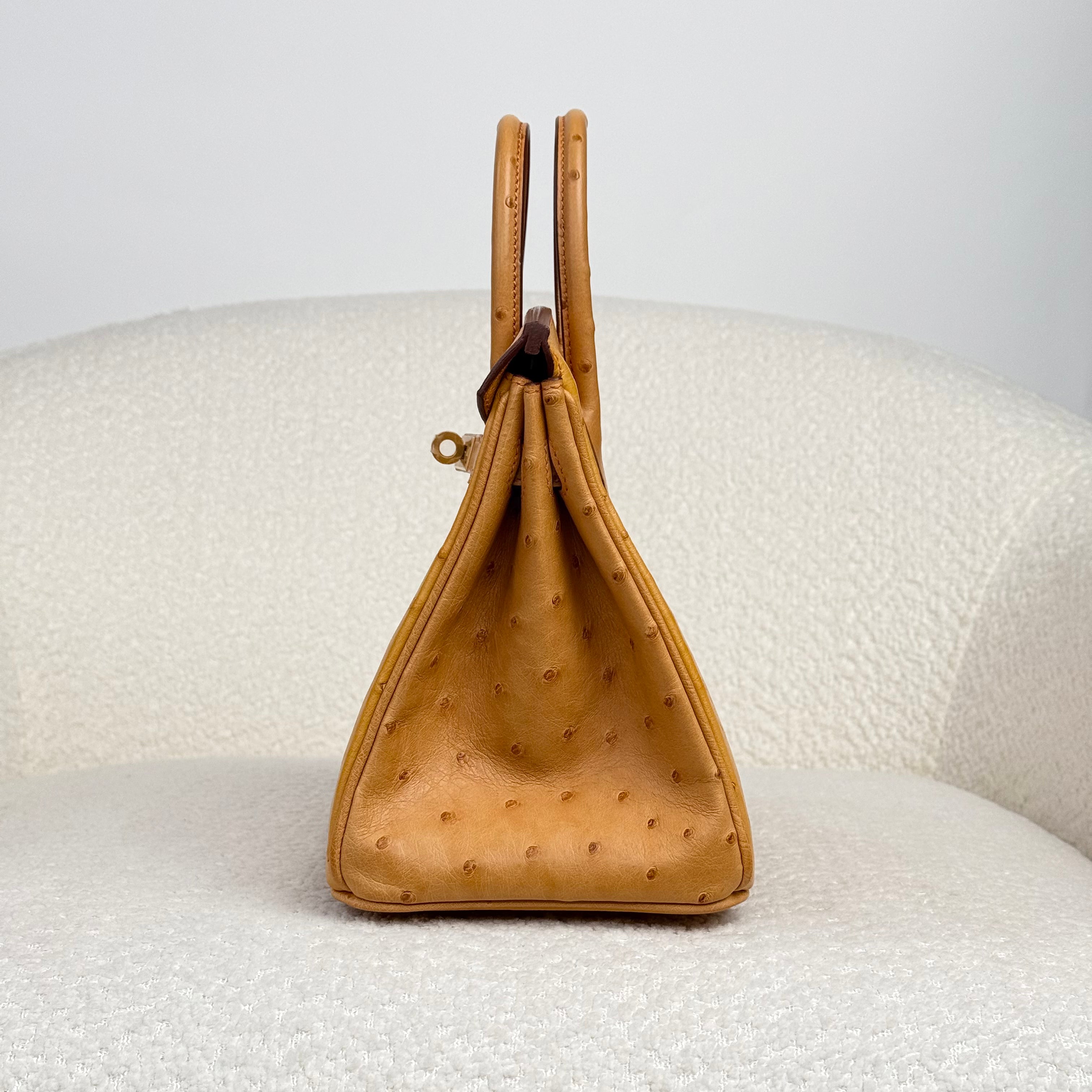 Hermès Natural Sable and Terre Cuite Birkin 25 Ostrich Brushed Gold Hardware HSS