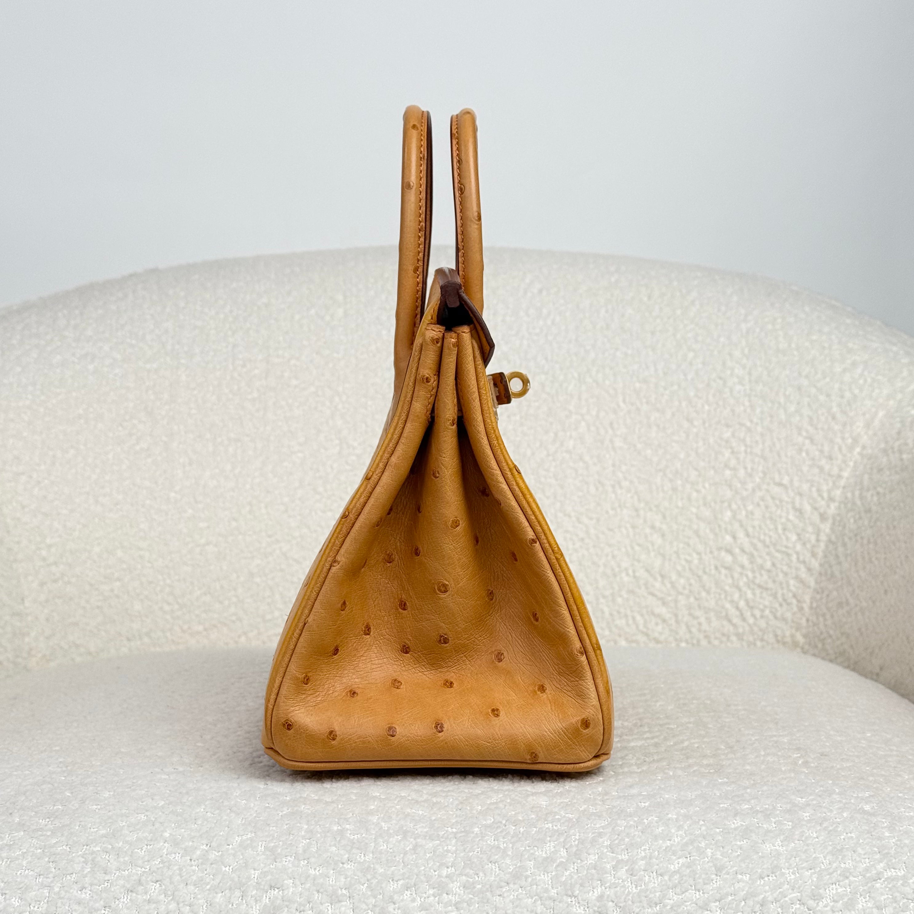 Hermès Natural Sable and Terre Cuite Birkin 25 Ostrich Brushed Gold Hardware HSS