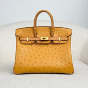 Hermès Natural Sable and Terre Cuite Birkin 25 Ostrich Brushed Gold Hardware HSS