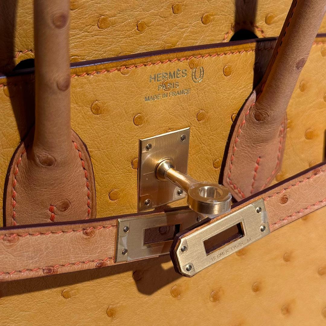 Hermès Natural Sable and Terre Cuite Birkin 25 Ostrich Brushed Gold Hardware HSS