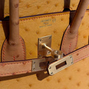 Hermès Natural Sable and Terre Cuite Birkin 25 Ostrich Brushed Gold Hardware HSS