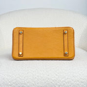 Hermès Natural Sable and Terre Cuite Birkin 25 Ostrich Brushed Gold Hardware HSS