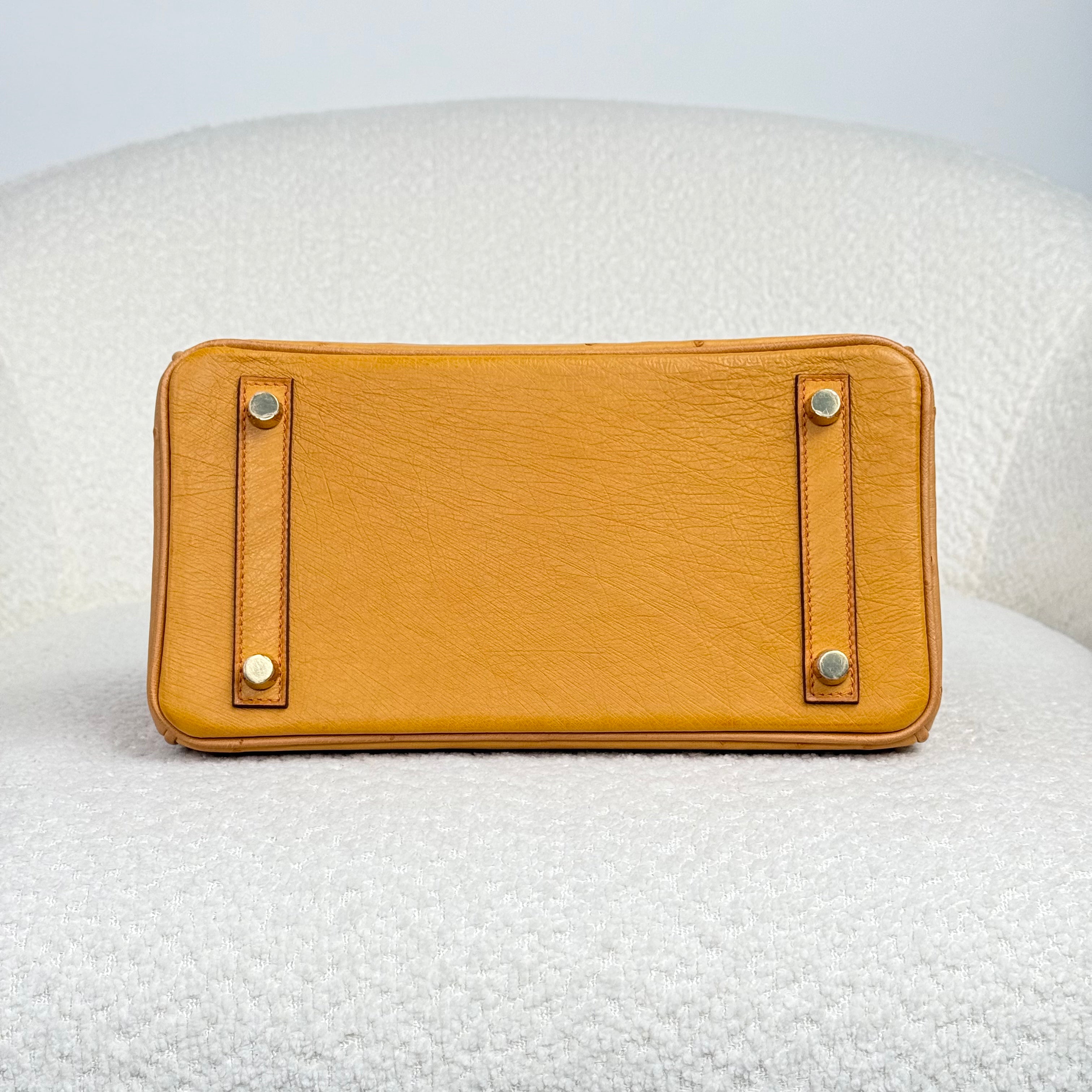 Hermès Natural Sable and Terre Cuite Birkin 25 Ostrich Brushed Gold Hardware HSS